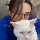Profilbild für Ceren O