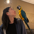 Profilbild für Ellie Q