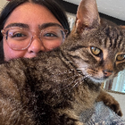 Avatar for Arianne V