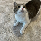 Profilbild für Lena S
