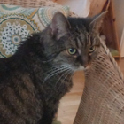 Profilbild für Heike S