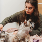 Avatar for Courtney M