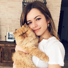 Profilbild für Bicem E