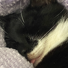 Profilbild für Aspen G