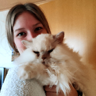 Profilbild für Lydia T