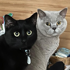 Profilbild für Anett M