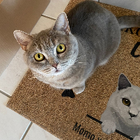 Profilbild für Momo A
