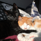 Profilbild für Jenny S