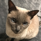 Profilbild für Jessica W