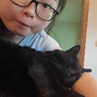 Profilbild für Yuen Ting K
