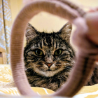 Avatar for Katerina (Kat) S