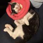 Profilbild für Elle K