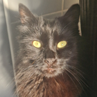 Avatar for Victoria W