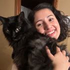 Profilbild für Sophia P