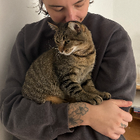Profilbild für Jule S