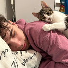 Avatar pour Corentin G