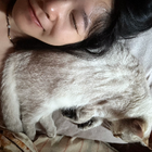 Profilbild für Yao C