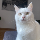 Profilbild für Nina K