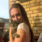 Profilbild für Tony N