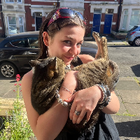 Avatar for Melanie S