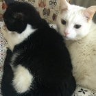 Avatar for Colette R