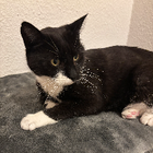Profilbild für Christine F