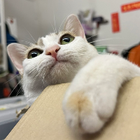 Avatar for Christine Y