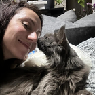 Profilbild für Manuela C