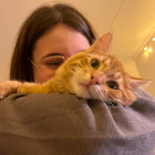 Profielfoto voor Maile M