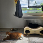 Profilbild für Sun Hee K
