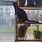 Profielfoto voor Suleen J