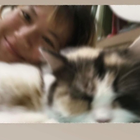 Profilbild für Chue Pwint P