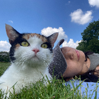 Profilbild für Honghong T