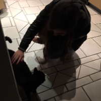 Profilbild für Jenny S