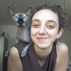 Profilbild für Defne U