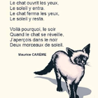 Avatar pour Martine P