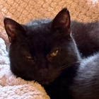 Avatar for Annemarie S