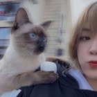 Profielfoto voor XUAN Y