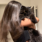 Profilbild für Sarah B