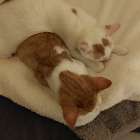 Profilbild für Monika L