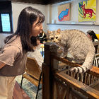 Profilbild für Hsin-Yun T