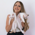 Profilbild für Sanja J