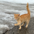 Profilbild für Elena S