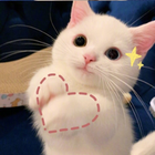 Profilbild für Xinyi L