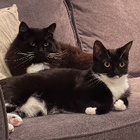 Avatar for Leticia d