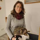 Profilbild für Ruxandra B