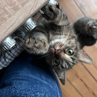 Profilbild für Anika C