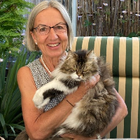 Profilbild für Dagmar T