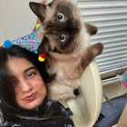 Avatar for Armeen S