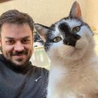 Profilbild für Dario L